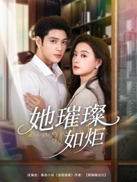 她璀璨如炬第31-60集