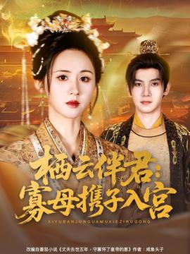 栖云伴君寡母携子入宫全集(大结局)