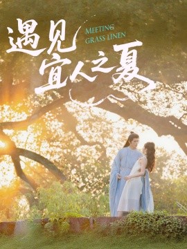 遇见宜人之夏全集(大结局)