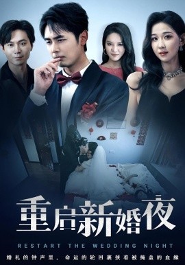 重启新婚夜全集(大结局)