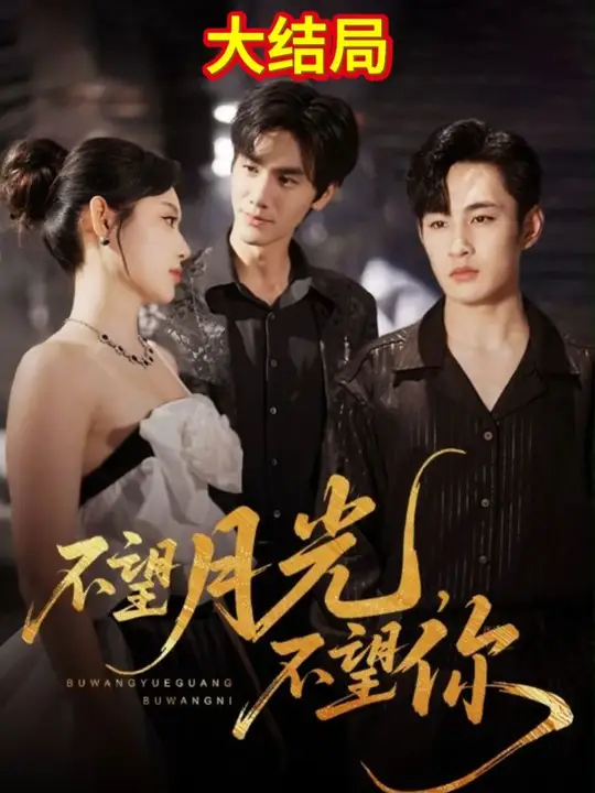 不望月光不望你全集(大结局)