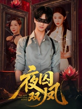 夜囚双凤全集(大结局)