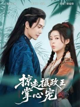 掠走摄政王掌心宠全集完结(大结局)