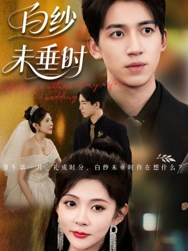 老婆婚礼我当证婚人全集(大结局)