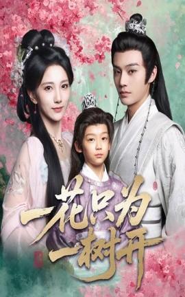 一花只为一树开全集完结(大结局)