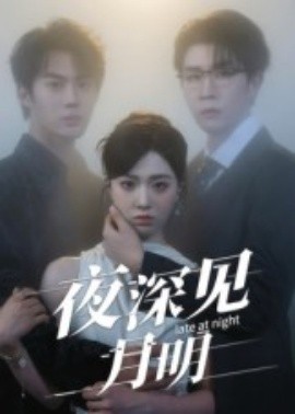 夜深见月明全集(大结局)