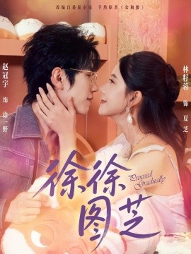 徐徐图芝第61-75集(大结局)