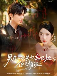 男友二次失忆忘记她但已领证全集(大结局)