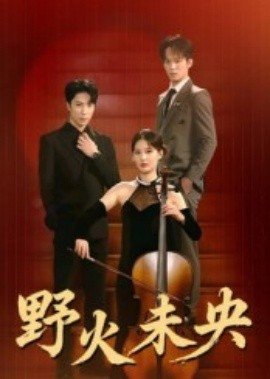 野火未央第21-40集(大结局)