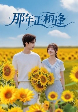 那年正相逢全集完结(大结局)
