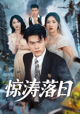 惊涛落日第31-60集(大结局)