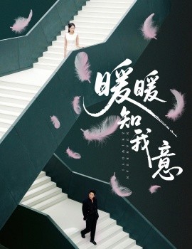 暖暖知我意第01-30集