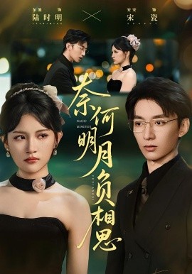 奈何明月负相思第01-30集