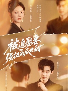 被迫娶妻，强扭的瓜也甜全集完结(大结局)