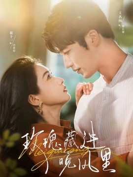 玫瑰藏进晚风里全集完结(大结局)