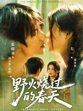 野火烧过的春天全集完结(大结局)
