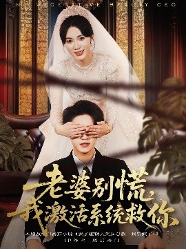 老婆别慌，我激活系统救你全集(大结局)