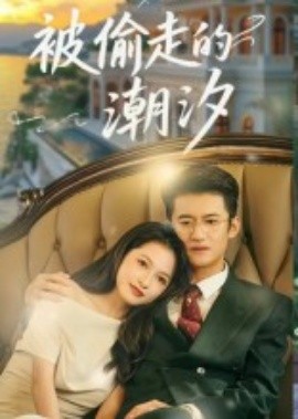 被偷走的潮汐全集(大结局)