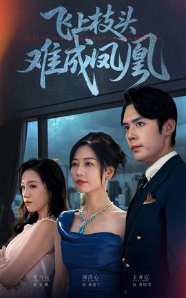 飞上枝头难成凤凰第01-20集