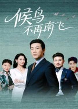 候鸟不再南飞第61-80集(大结局)