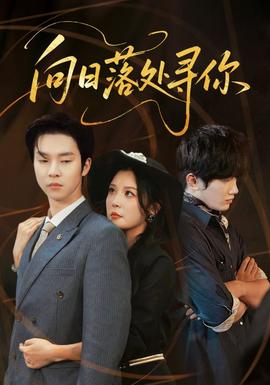 向日落处寻你第31-60集