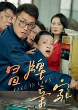 冒牌亲家全集(大结局)