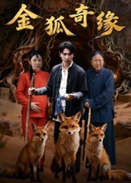 金狐奇缘全集(大结局)