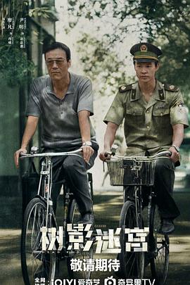 树影迷宫第16集