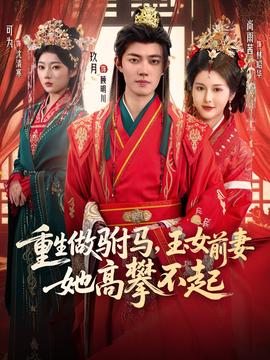重生做驸马，玉女前妻她高攀不起全集(大结局)