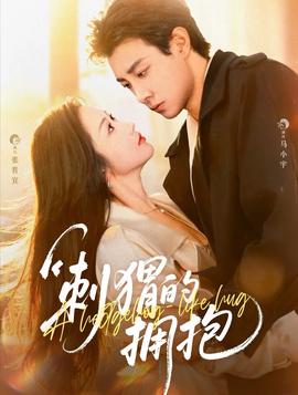 刺猬的拥抱第31-60集