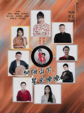 向阳山下星光晚晚全集完结(大结局)