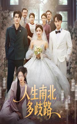 人生南北多歧路第01-20集