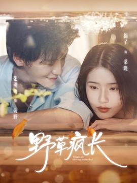 野草疯长第31-60集