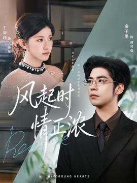 风起时情正浓全集(大结局)