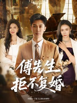 傅先生拒不复婚第01-30集