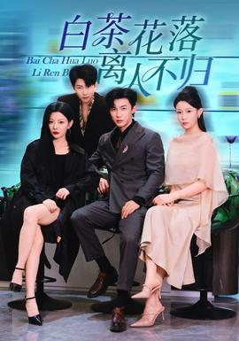 白茶花落离人全集(大结局)