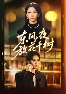东风夜放花千树全集(大结局)