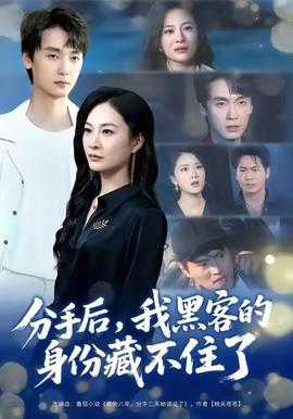 分手后，我黑客的身份藏不住了全集(大结局)