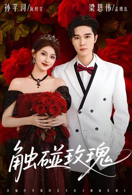 触碰玫瑰第31-60集