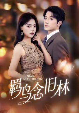 羁鸟念旧林第31-60集(大结局)