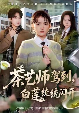 茶艺师驾到白莲统统闪开全集(大结局)