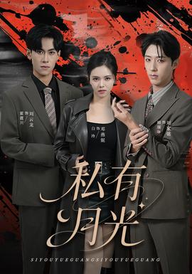 私有月光第31-60集