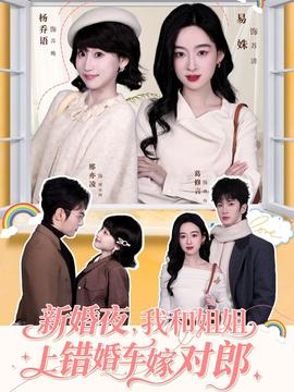新婚夜，我和姐姐上错婚车嫁对郎全集完结(大结局)