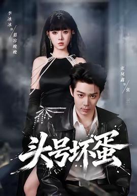 头号坏蛋第01-30集