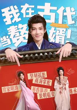 我在古代当赘婿第31-60集