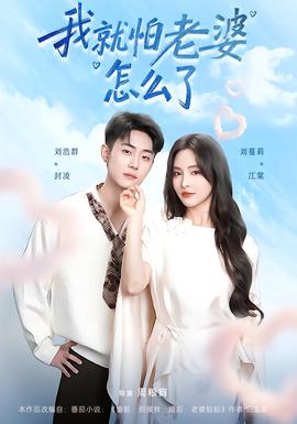 我就怕老婆怎么了第01-30集