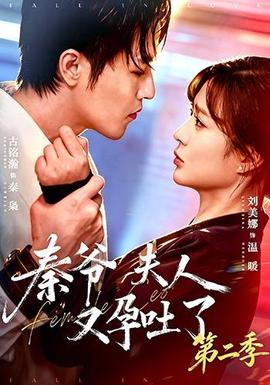 秦爷夫人又孕吐了第二季(全集)