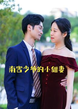 南宫少爷的小甜妻第19集