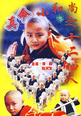 真命小和尚之十二铜人第10集