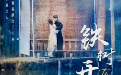 铁树开花第1-40集